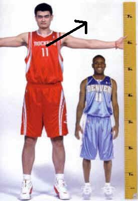 tall.JPG